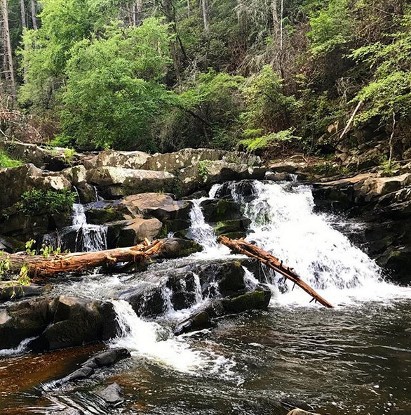 Coker Creek Tennessee