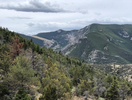 Lewis and Clark Caverns State Park