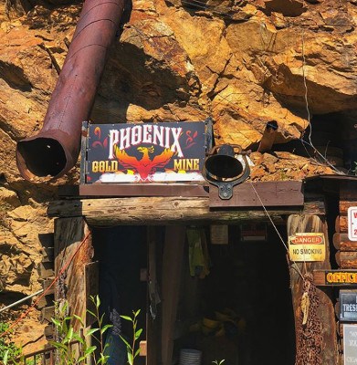 Phoenix Gold Mine