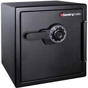 Sentry Safe