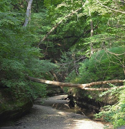 Starved Rock State Park