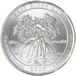 2020 Salt River Bay Quarter