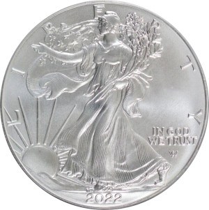 2022 Silver Eagle